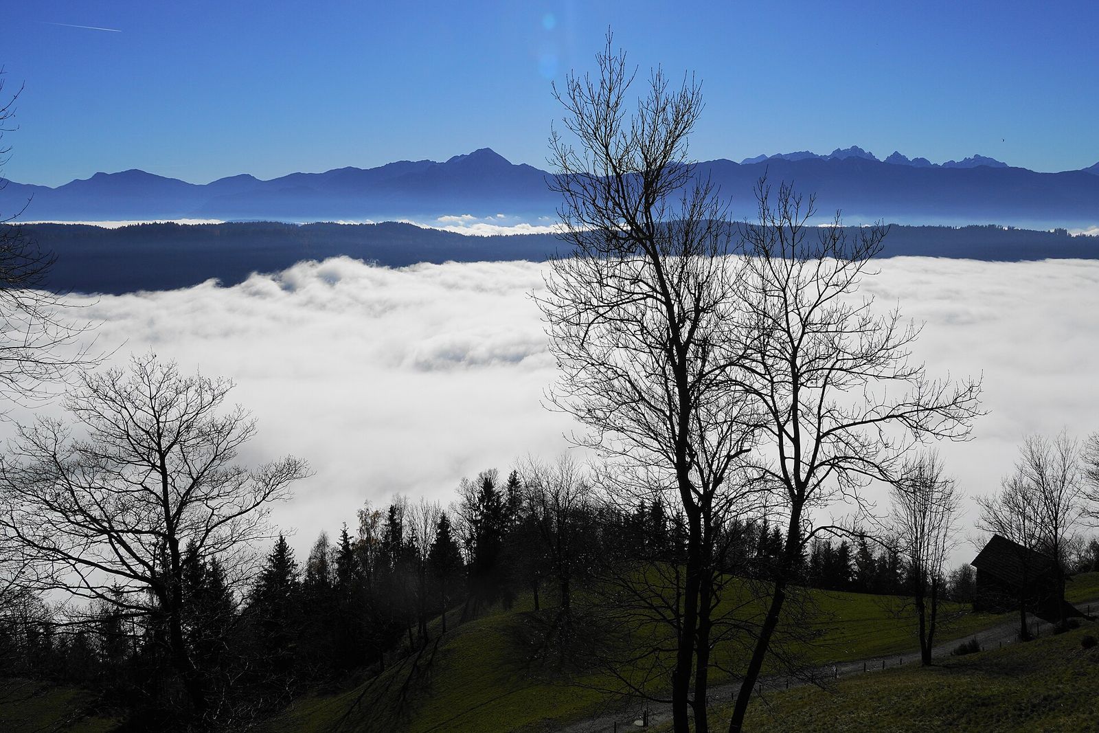 Sea of fog over the valley seen from the Gerlitzen with blue mountain ridges behind