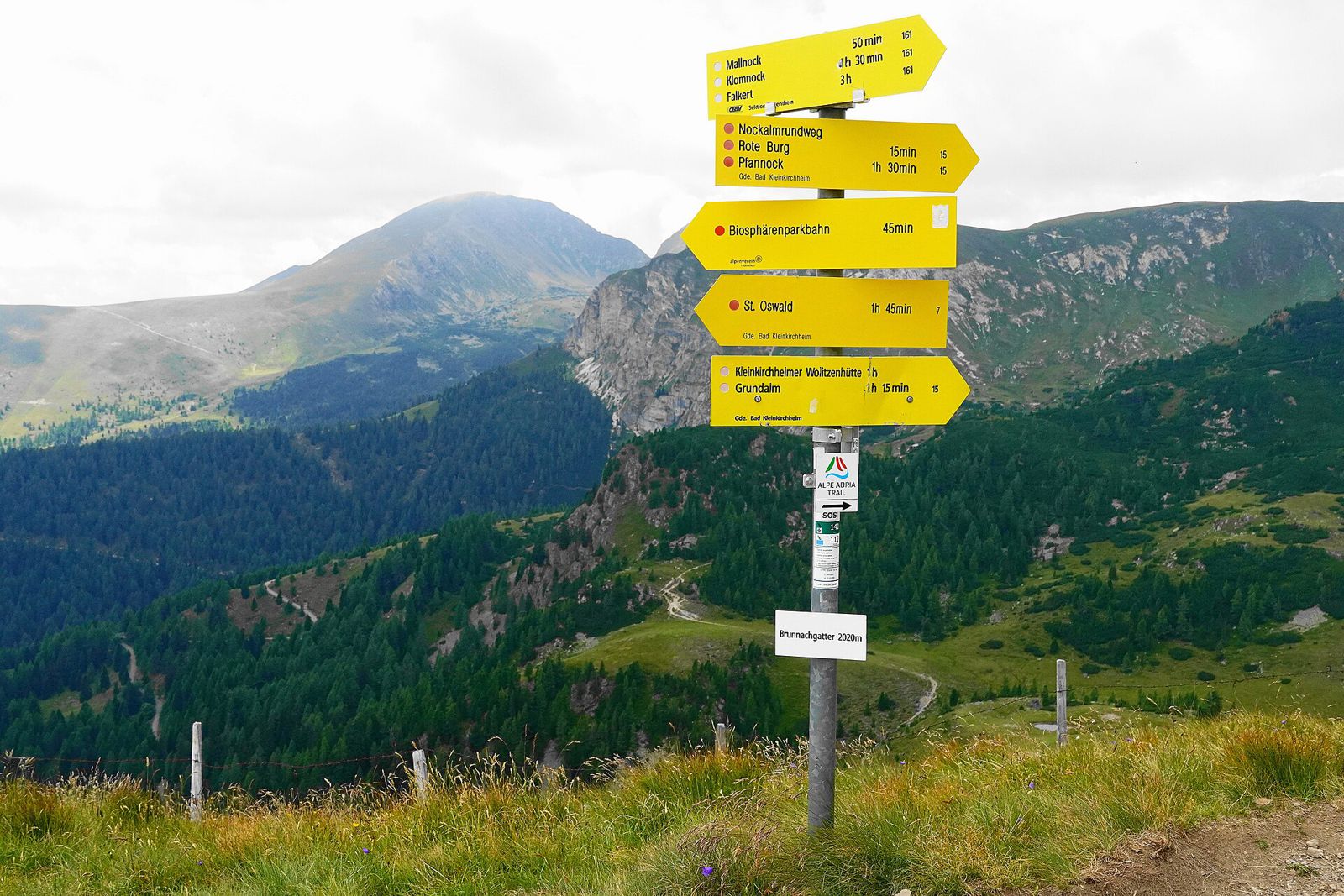 Yellow hiking signs at the Brunnachgatter pass amid the green Nockberge